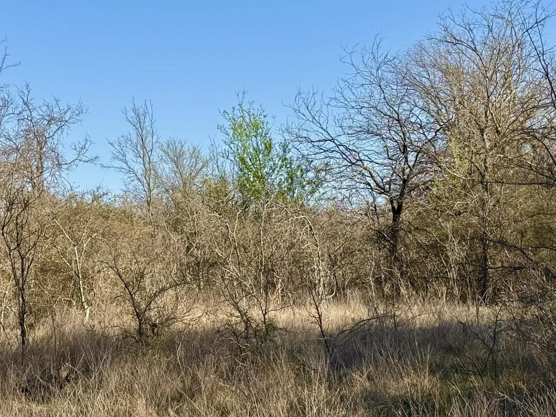 20.02 acres in Comanche County - photo 27