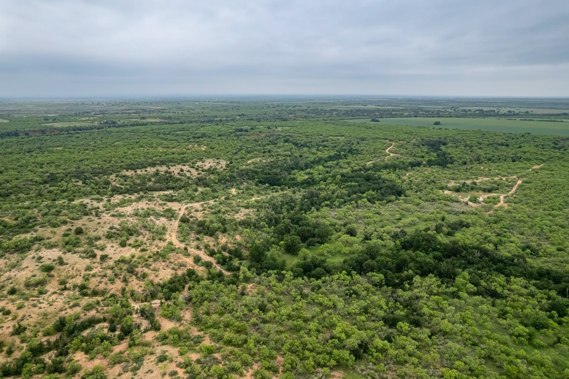 267.78 acres in Coleman County - photo 26
