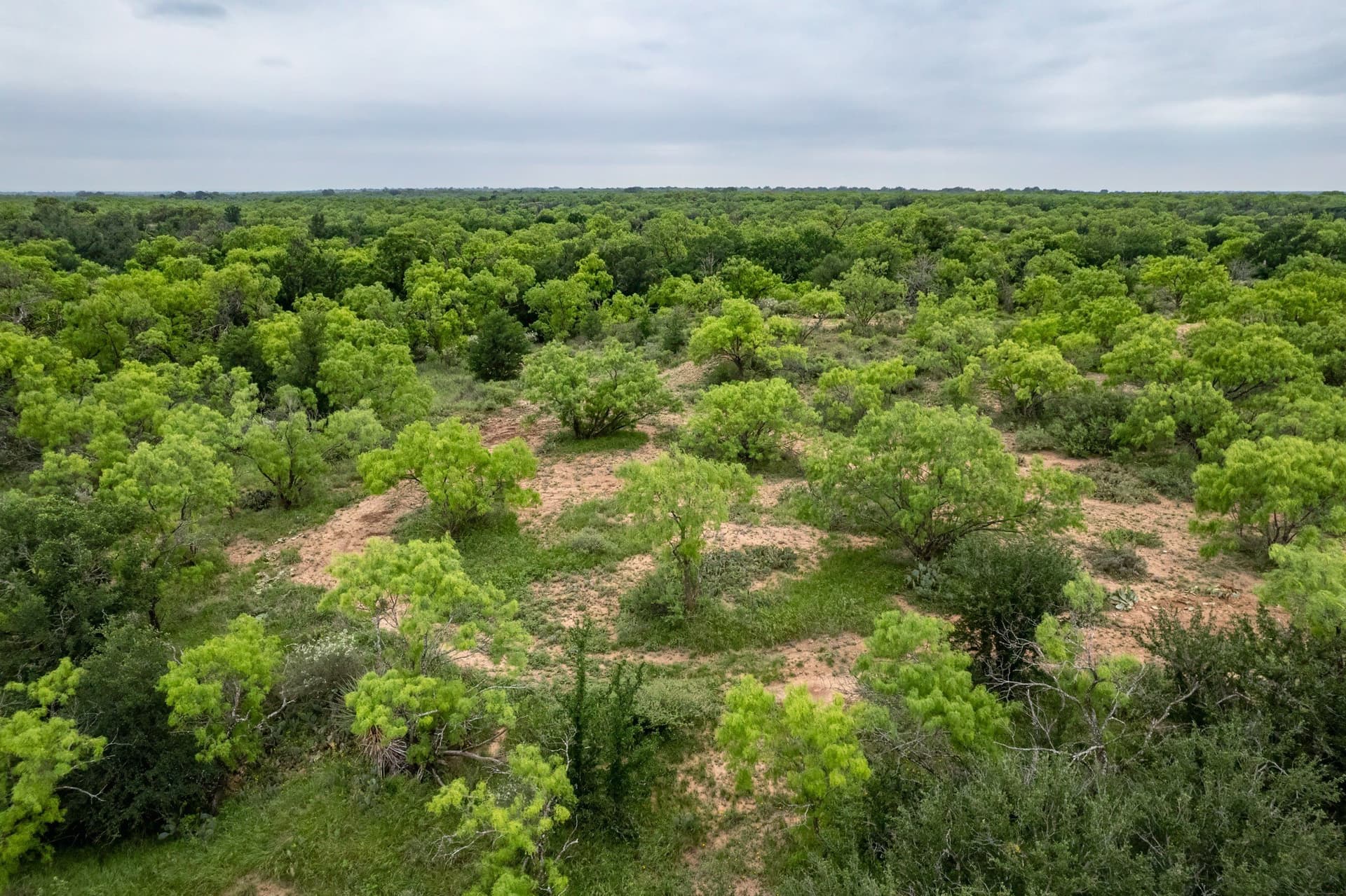 267.78 acres in Coleman County - photo 31