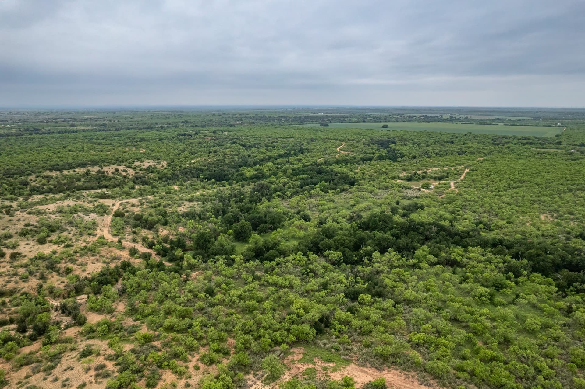 267.78 acres in Coleman County - photo 27