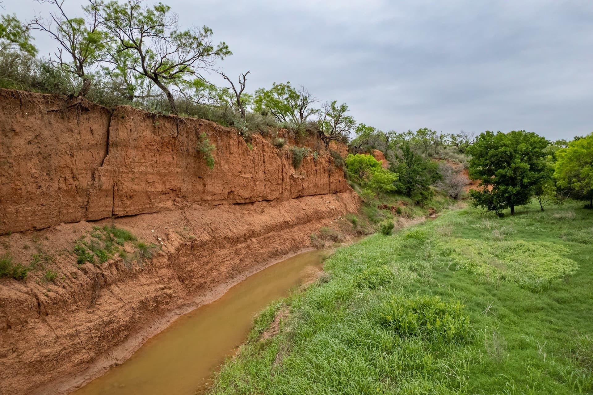 267.78 acres in Coleman County - photo 8