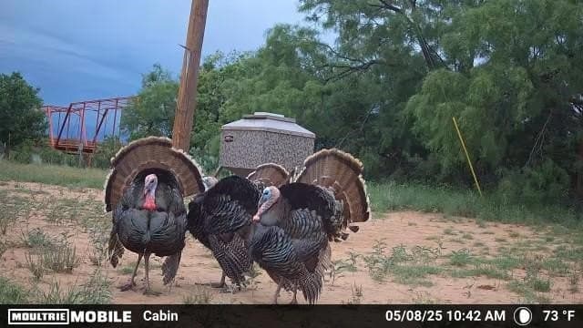 267.78 acres in Coleman County - photo 38