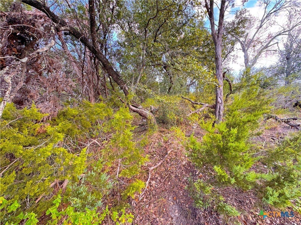 0.33 acres in Comal County gallery image 4