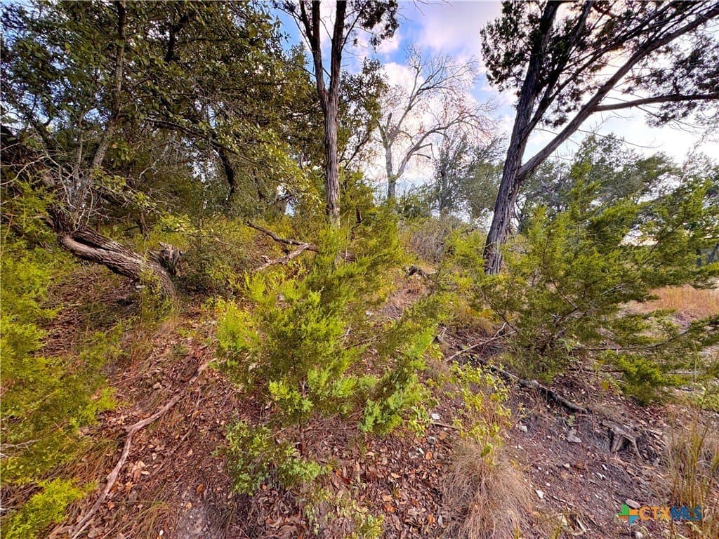 0.33 acres in Comal County featured view