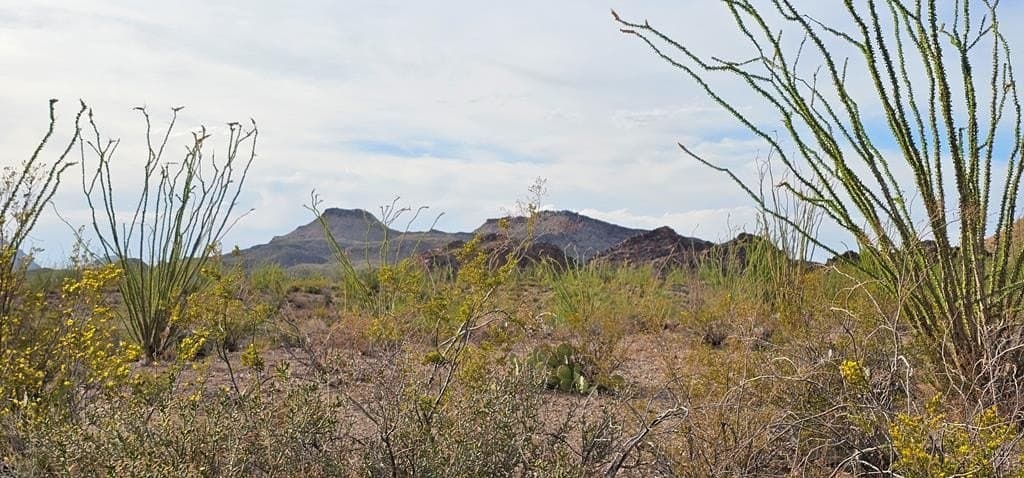 11.16 acres in Brewster County gallery image 2