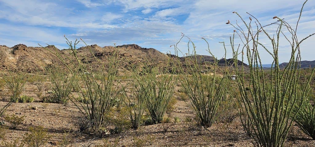 11.16 acres in Brewster County - photo 22