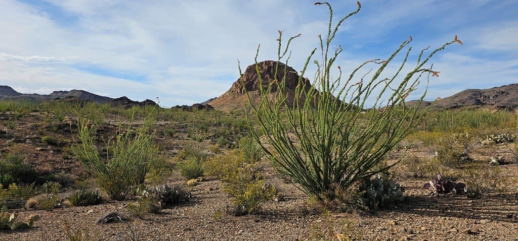 11.16 acres in Brewster County - photo 25