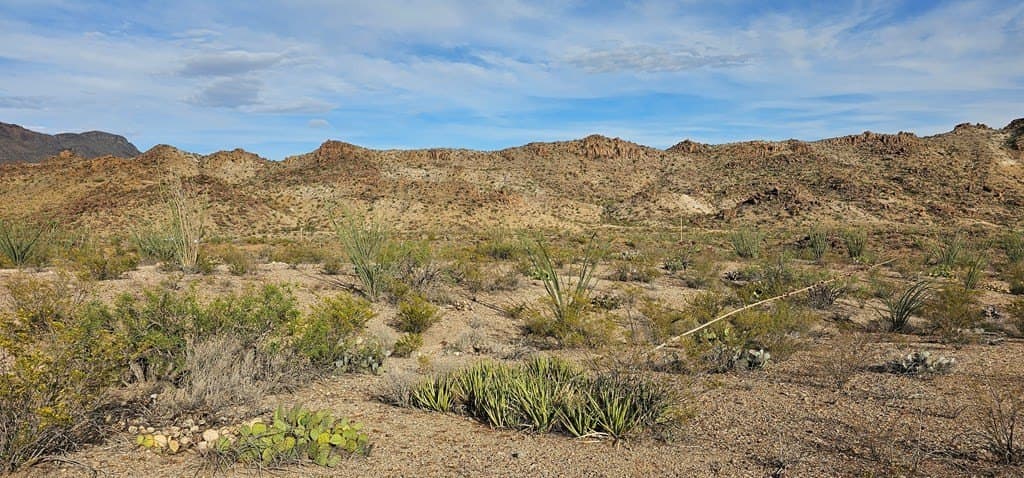 11.16 acres in Brewster County - photo 33