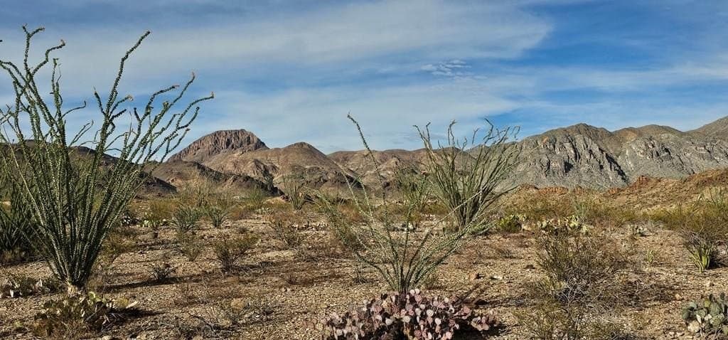 11.16 acres in Brewster County