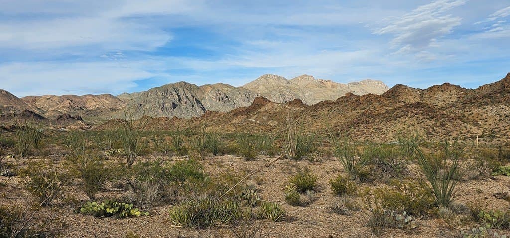 11.16 acres in Brewster County - photo 14