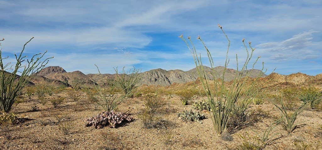 11.16 acres in Brewster County - photo 21