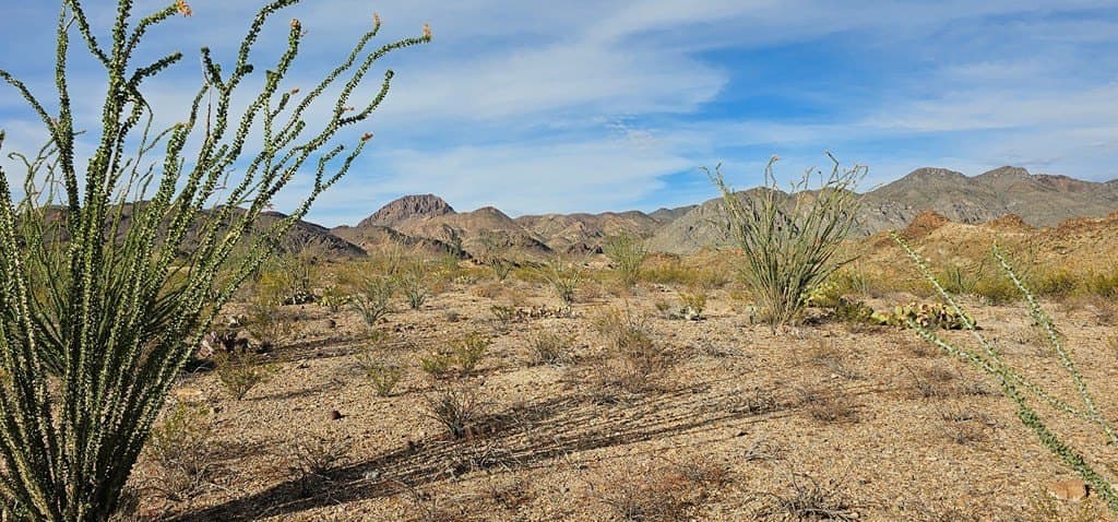11.16 acres in Brewster County - photo 23