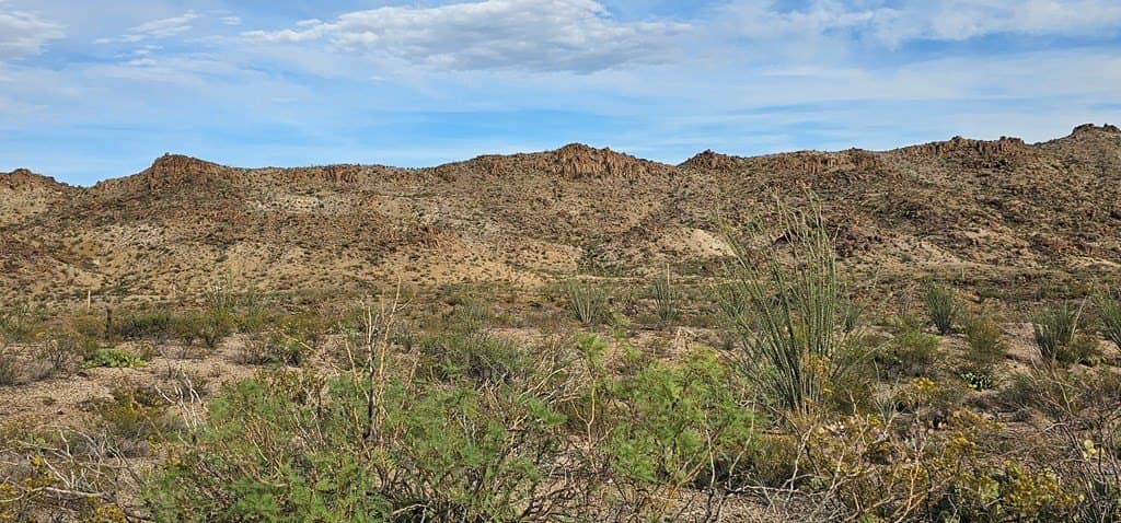 11.16 acres in Brewster County - photo 16