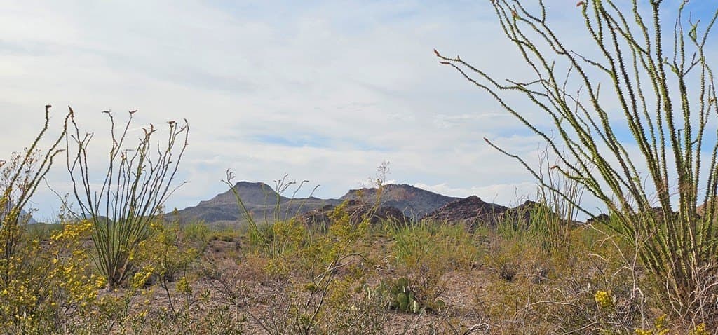 11.16 acres in Brewster County - photo 10
