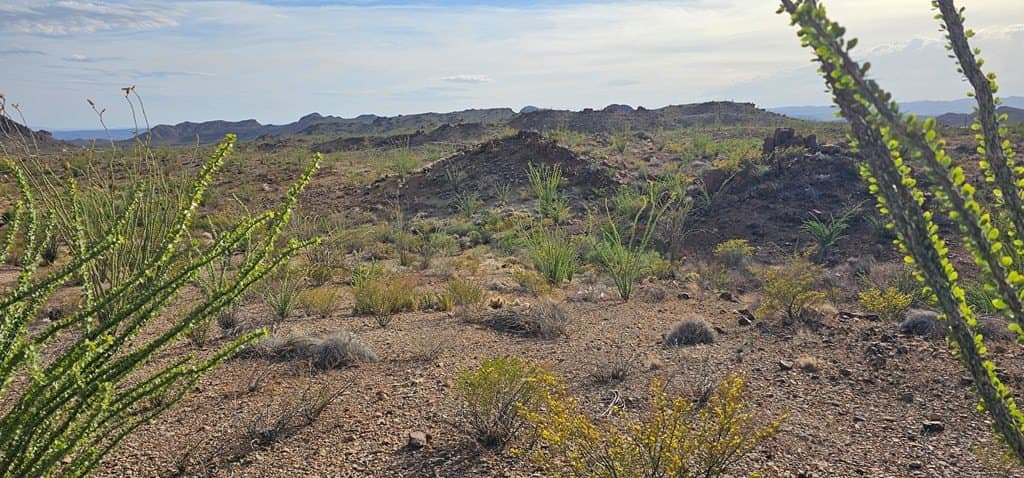 11.16 acres in Brewster County - photo 20