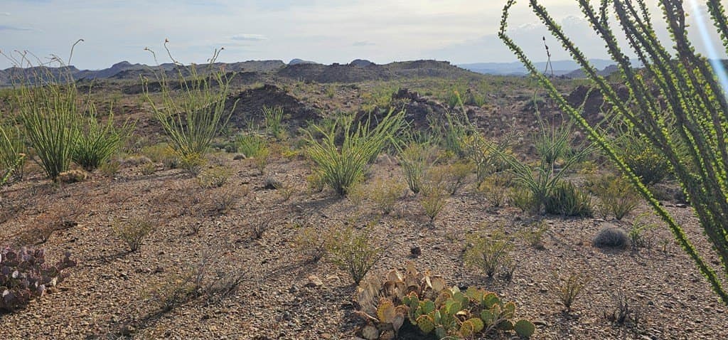11.16 acres in Brewster County - photo 26