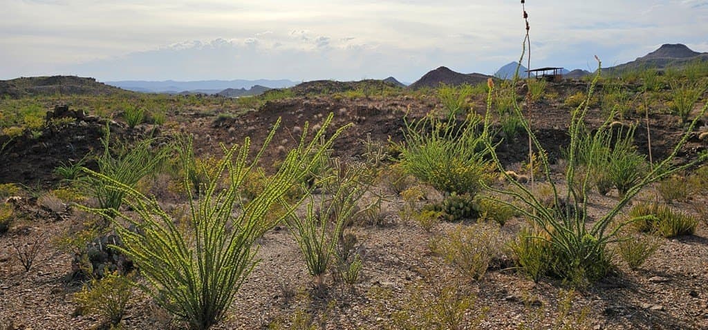 11.16 acres in Brewster County gallery image 3