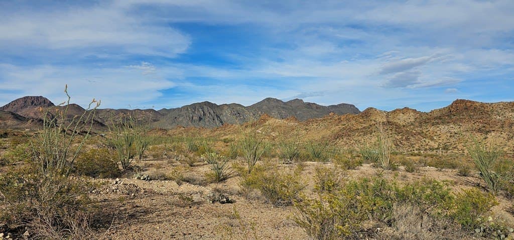 11.16 acres in Brewster County - photo 34