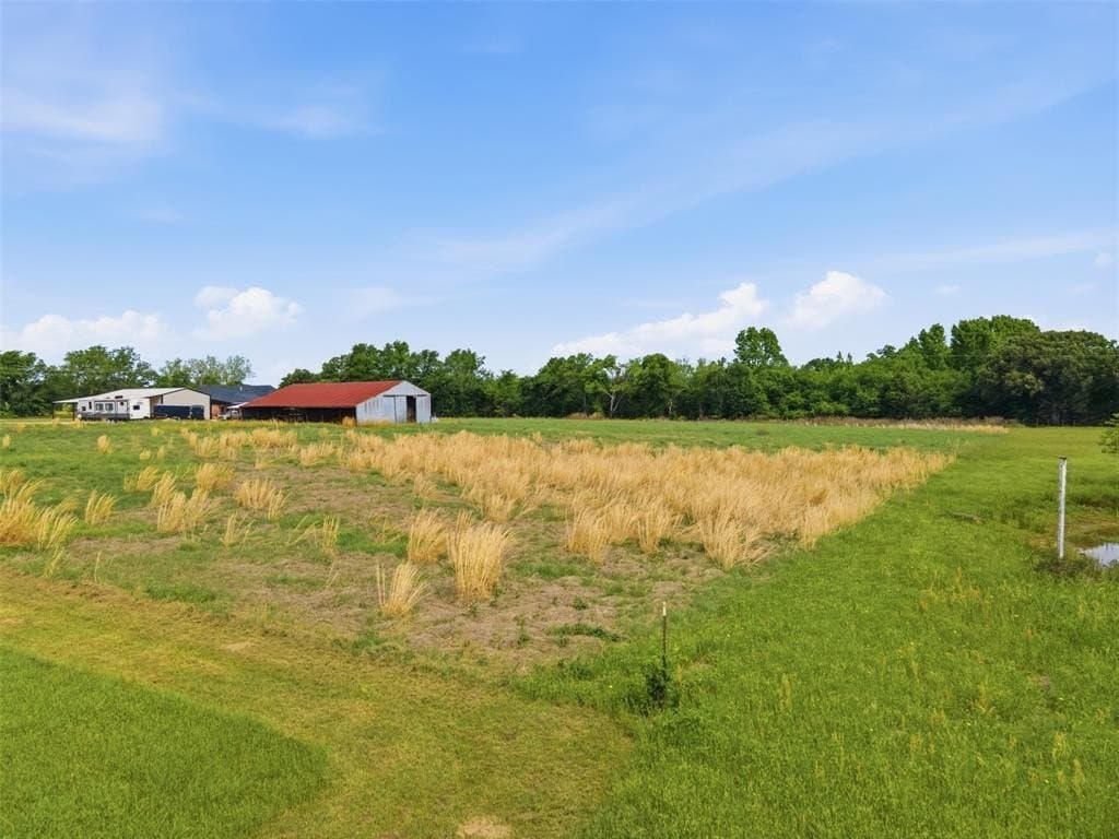 1.5 acres in Rains County featured view