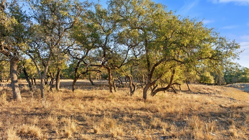 10.49 acres in Blanco County gallery image 2