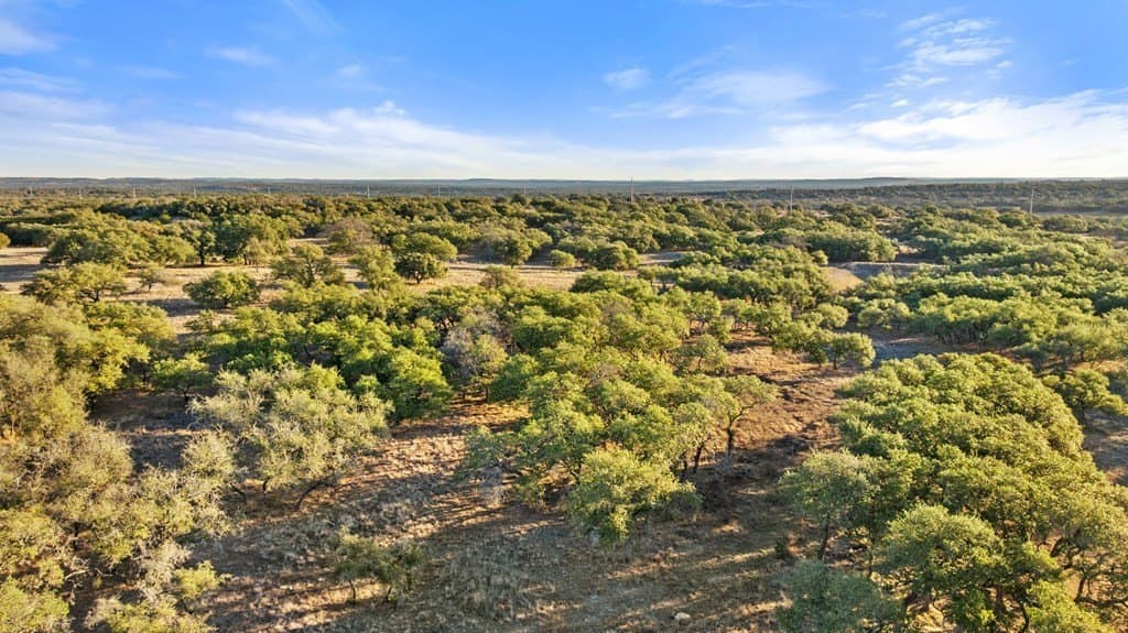 10.49 acres in Blanco County gallery image 3