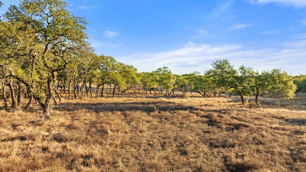 10.49 acres in Blanco County gallery image 4