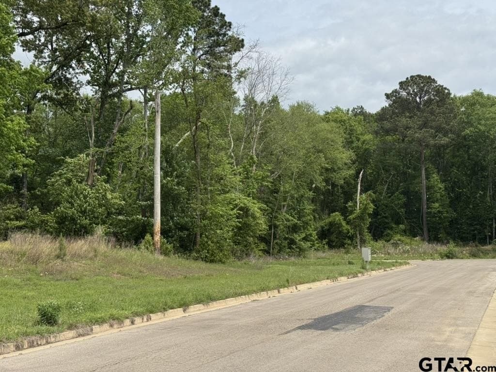1.46 acres in Smith County gallery image 4