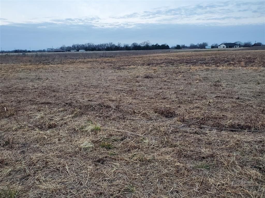 1.5 acres in Rains County gallery image 4