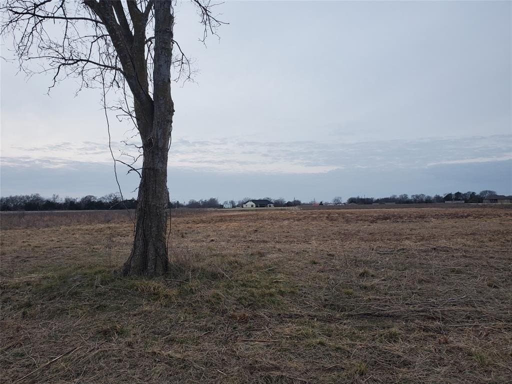 1.5 acres in Rains County