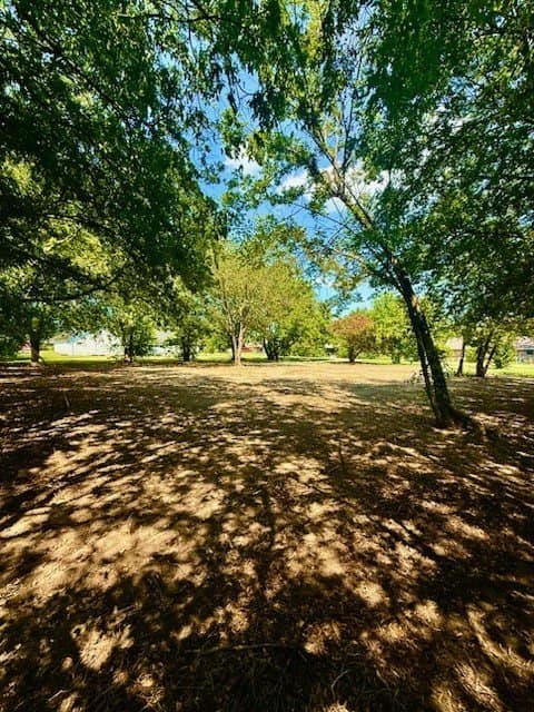 0.24 acres in Grayson County - photo 10