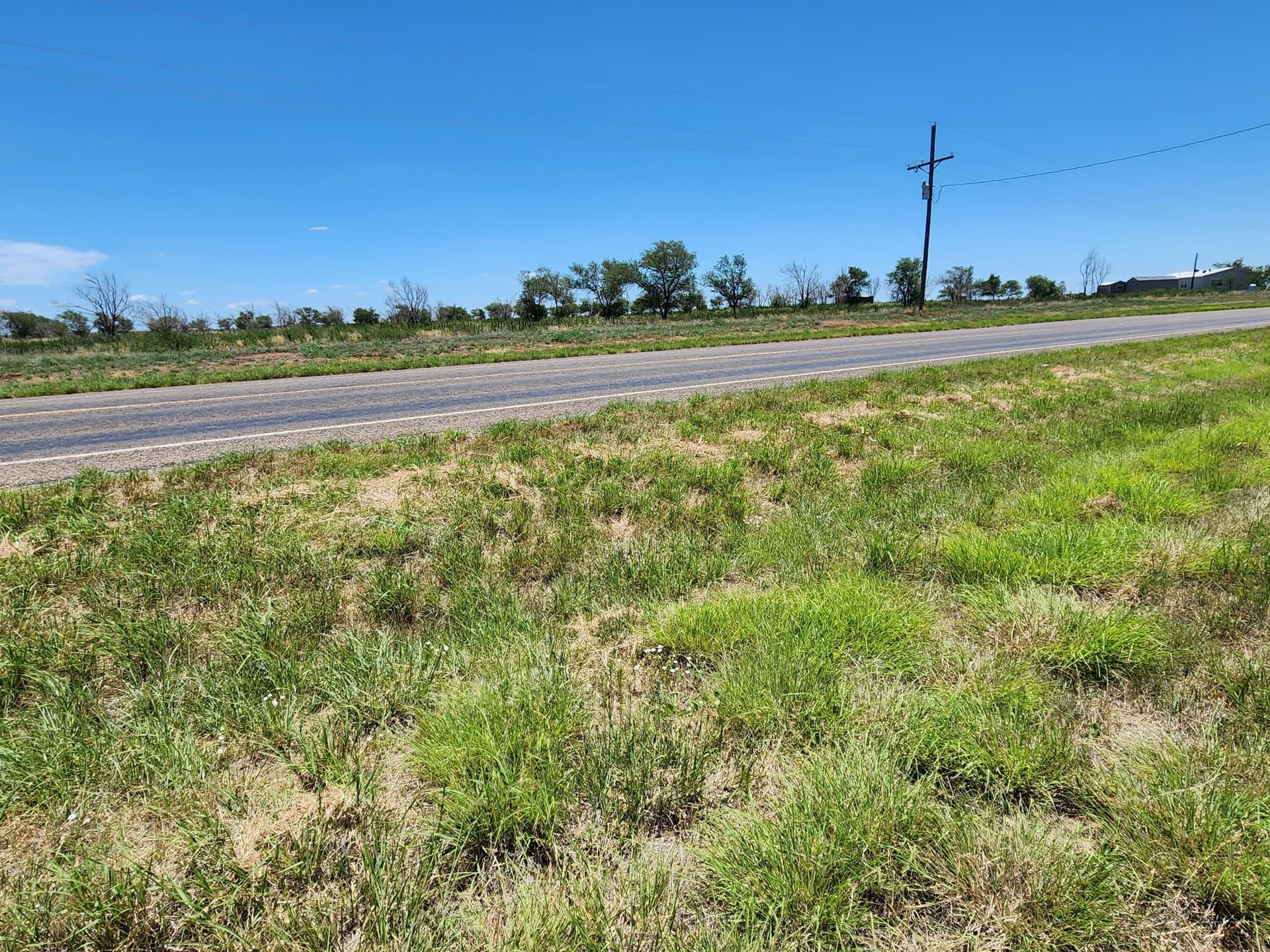 9.23 acres in Lubbock County gallery image 2