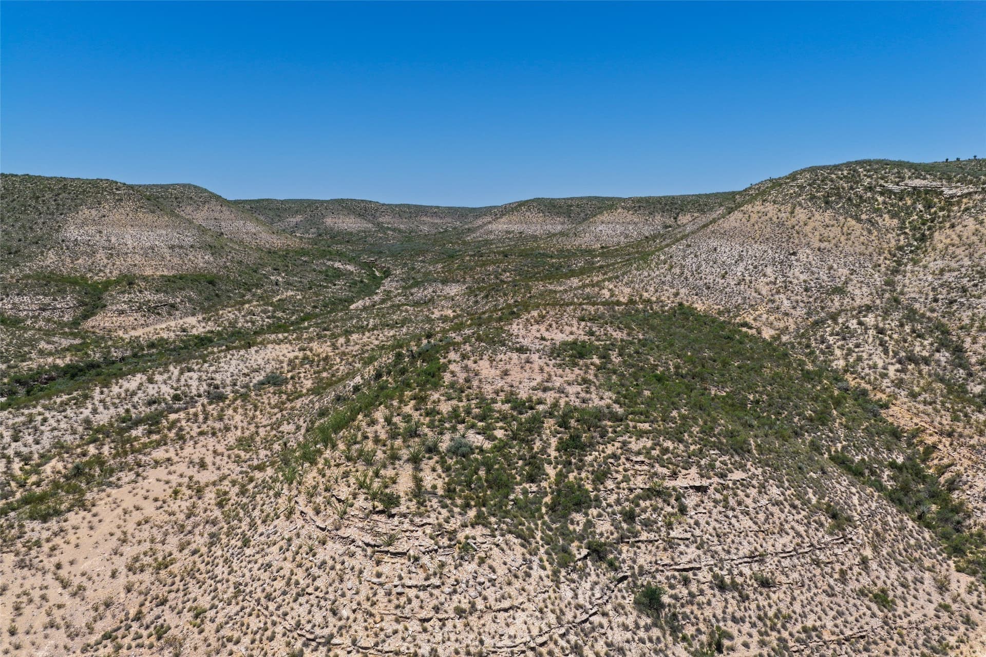 351.59 acres in Terrell County featured view