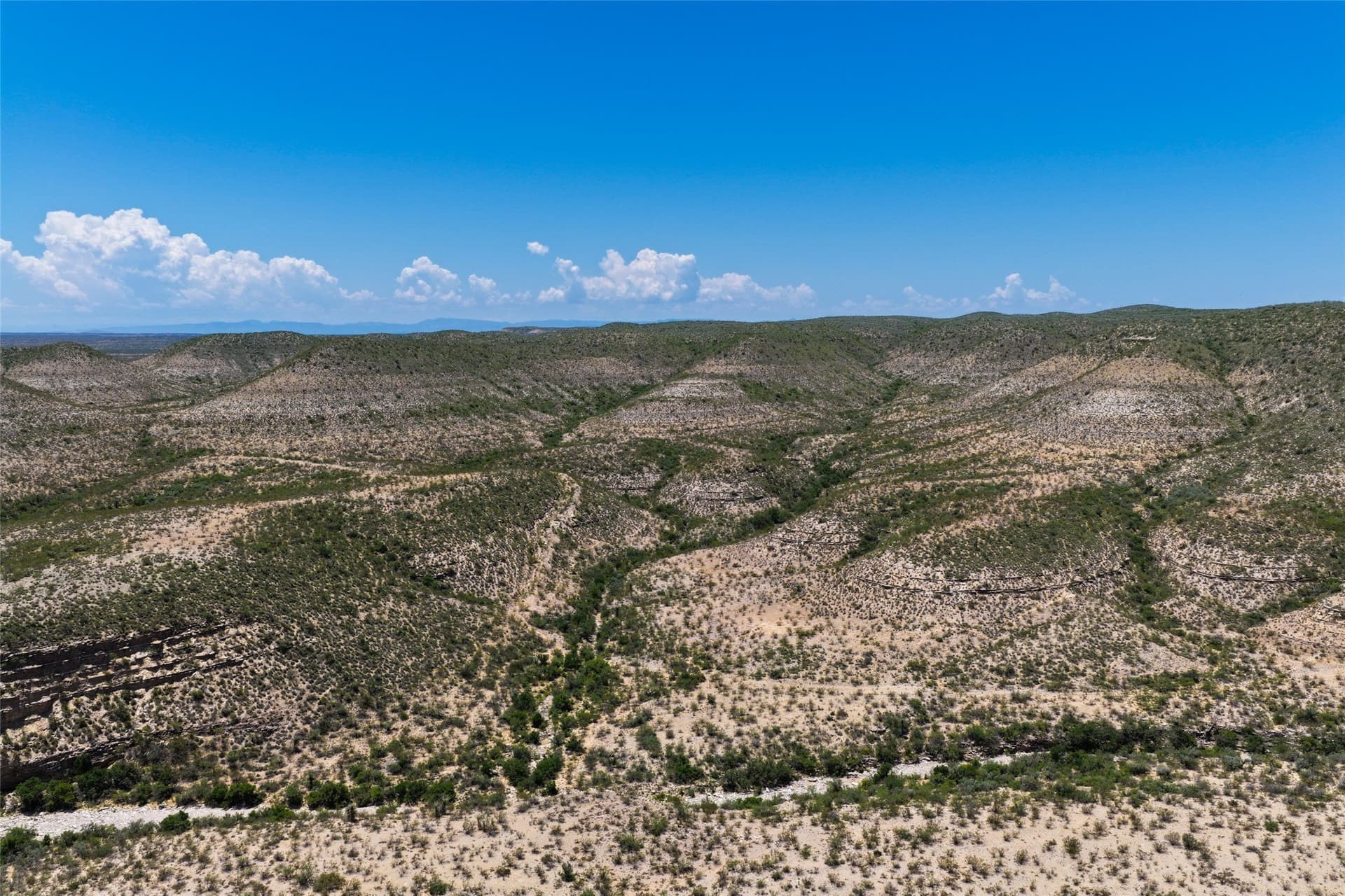 351.59 acres in Terrell County gallery image 3