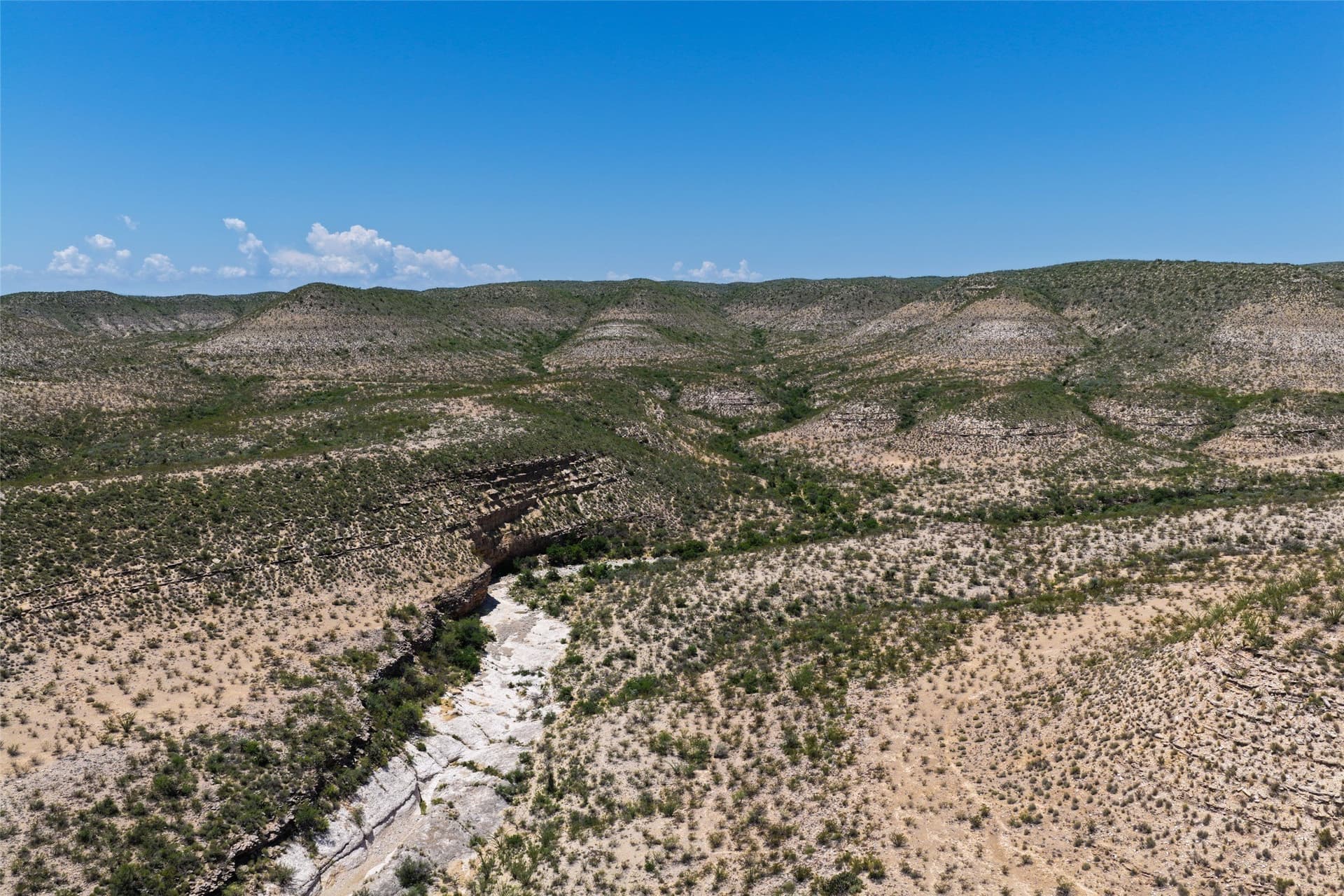 351.59 acres in Terrell County