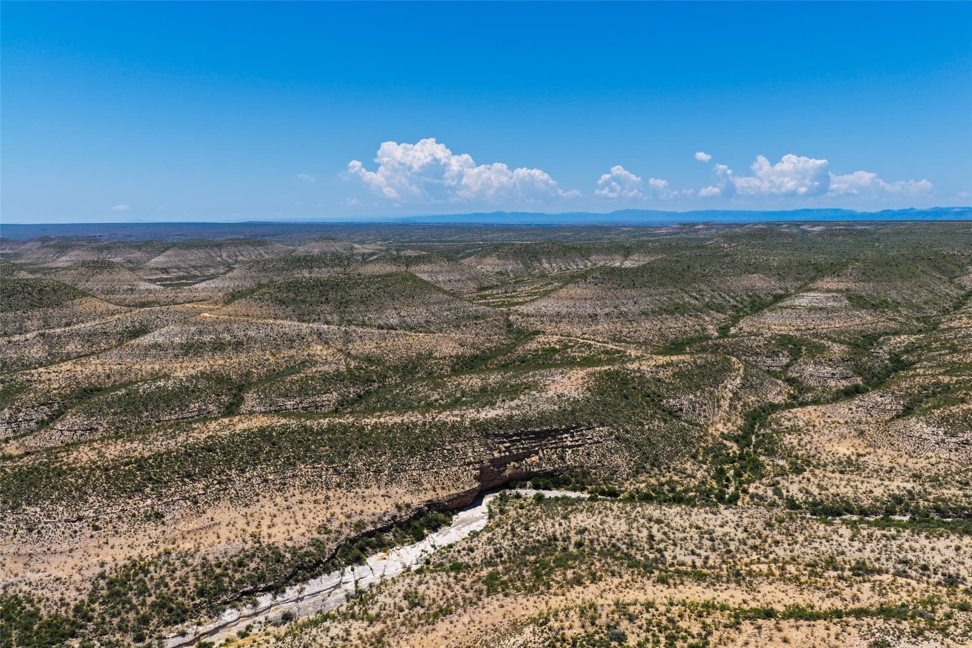 351.59 acres in Terrell County - photo 8