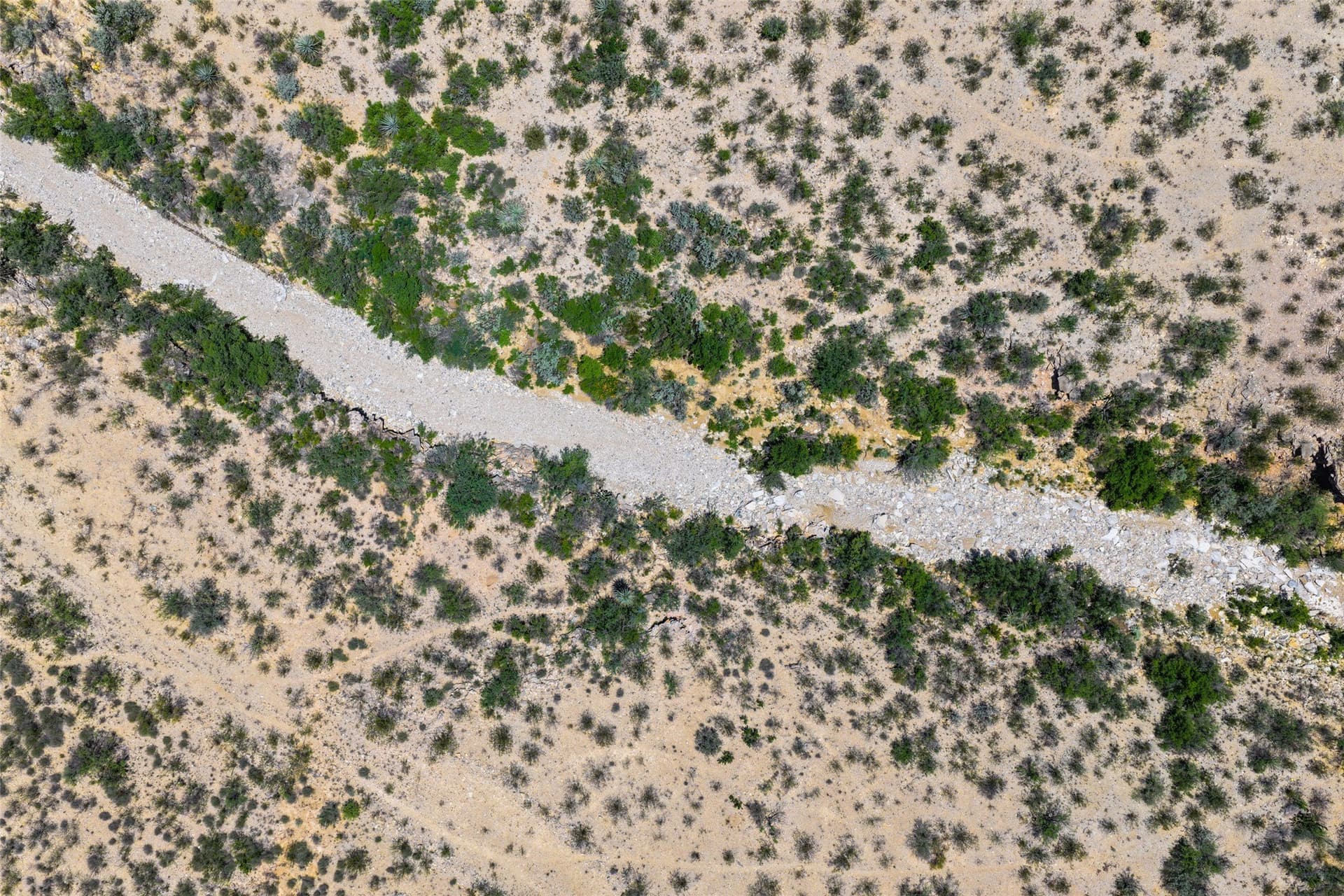 351.59 acres in Terrell County - photo 11