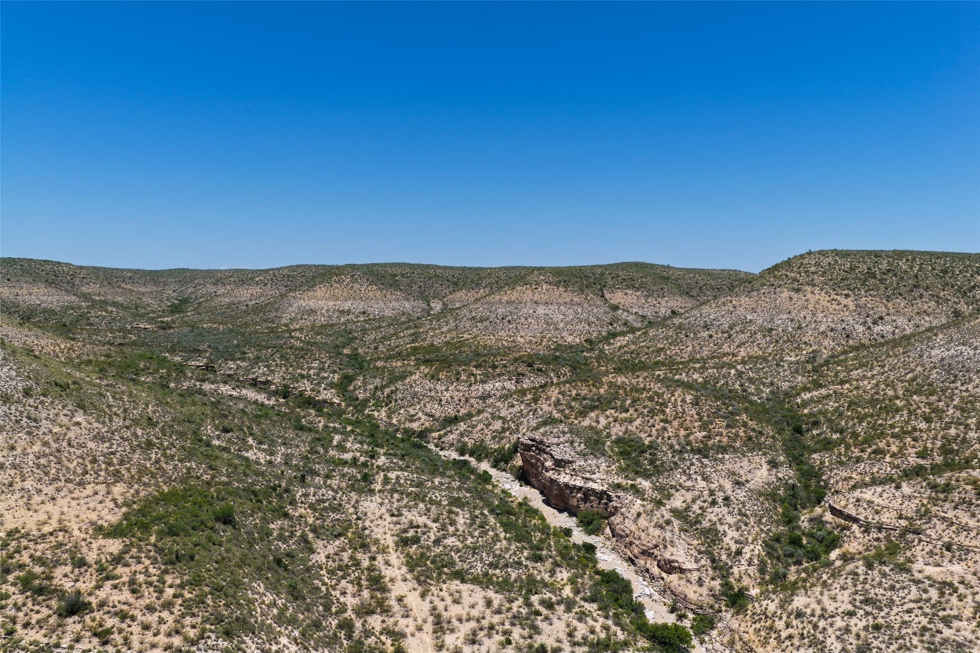 351.59 acres in Terrell County gallery image 4