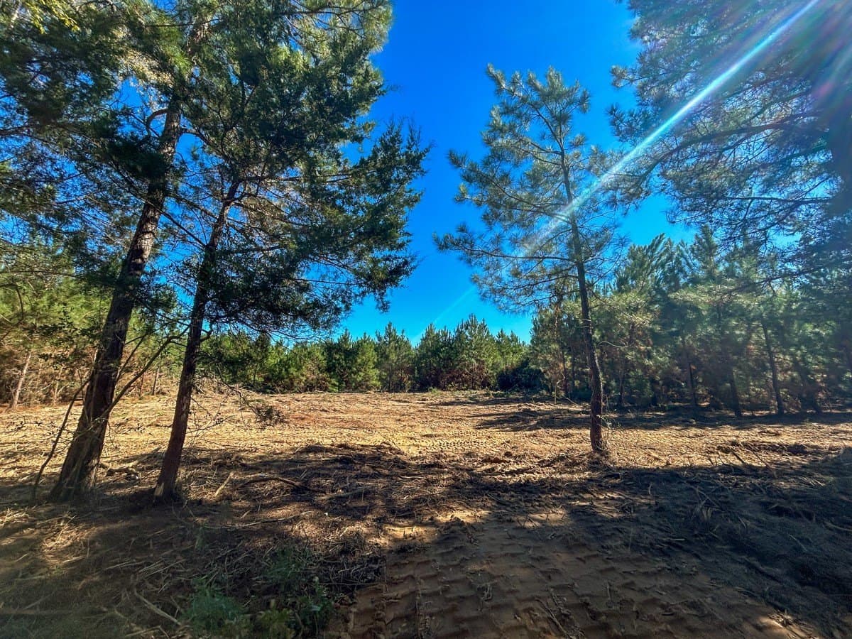 6.5 acres in Panola County - photo 3