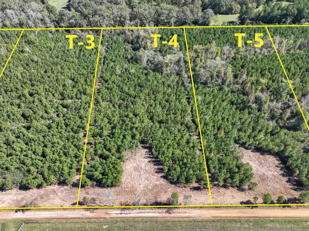 6.5 acres in Panola County - photo 2