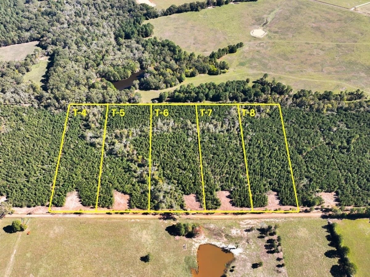 6.5 acres in Panola County - photo 15