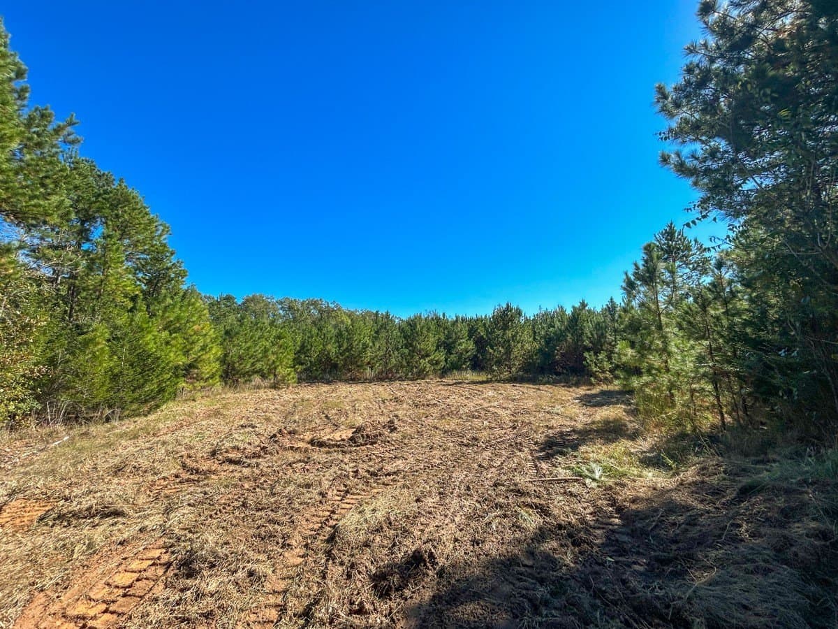 6.5 acres in Panola County - photo 7