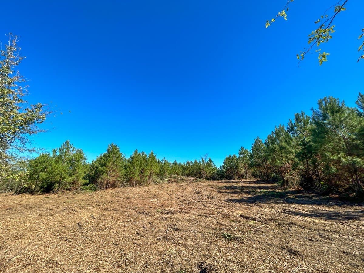 6.5 acres in Panola County - photo 9
