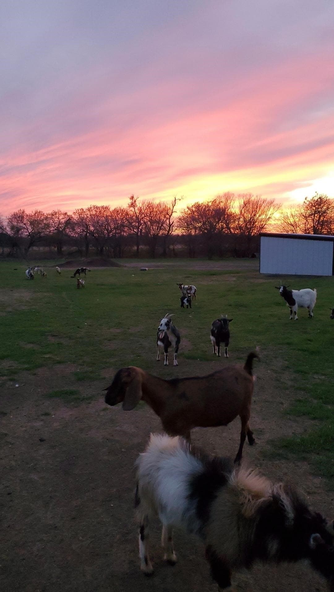 48 acres in Hill County - photo 17