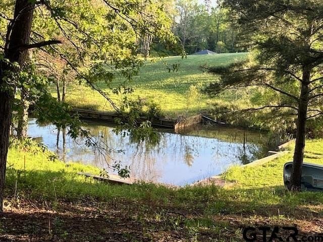 0.51 acres in Titus County gallery image 4