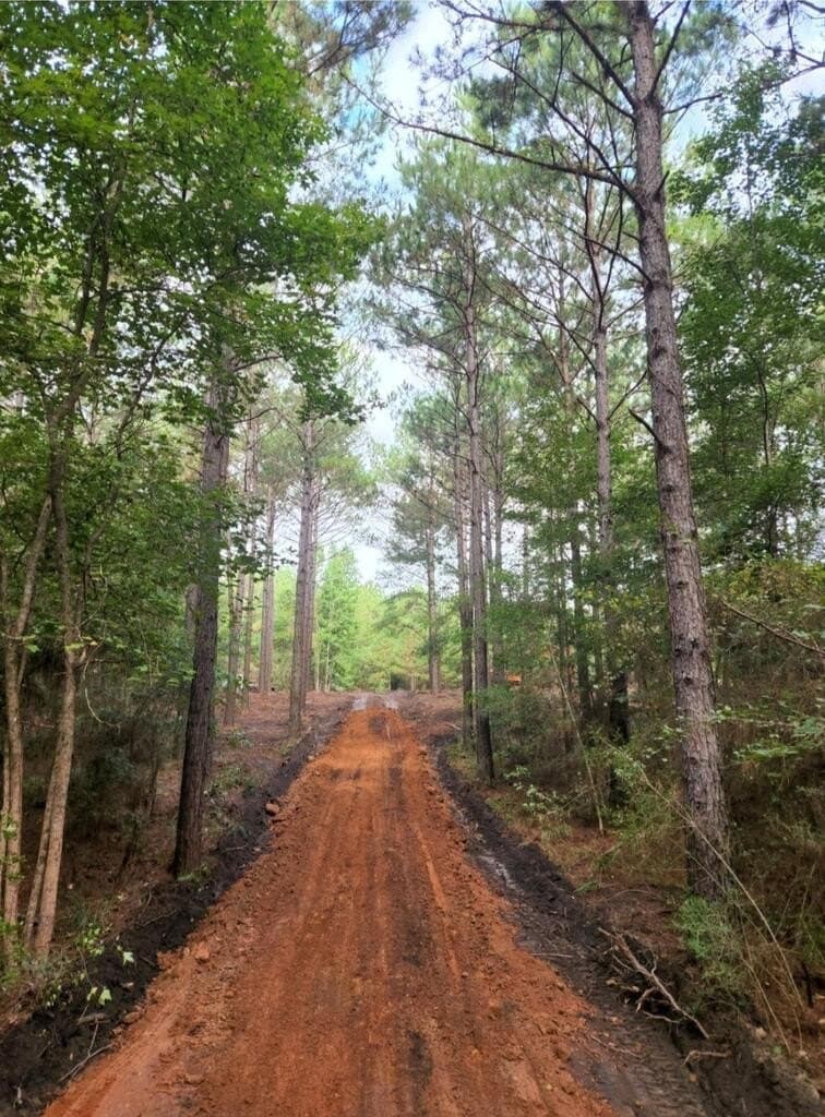 18 acres in Texas County - photo 5
