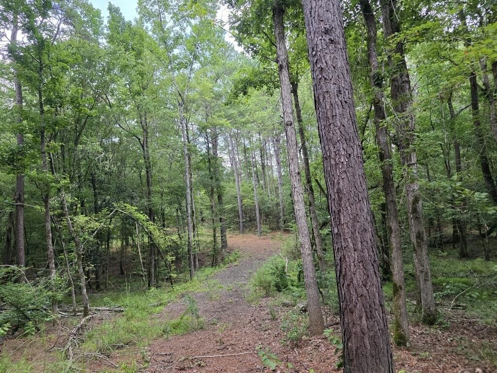 18 acres in Texas County - photo 8
