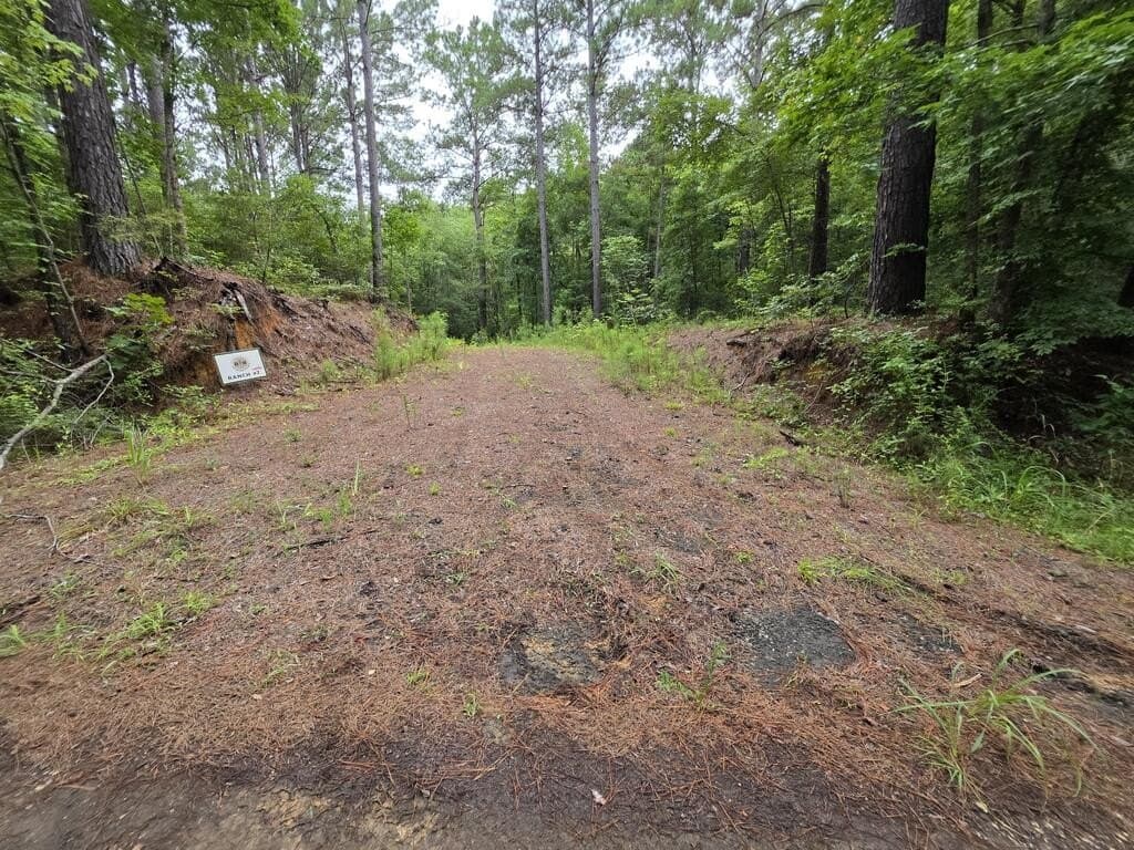 18 acres in Texas County - photo 4