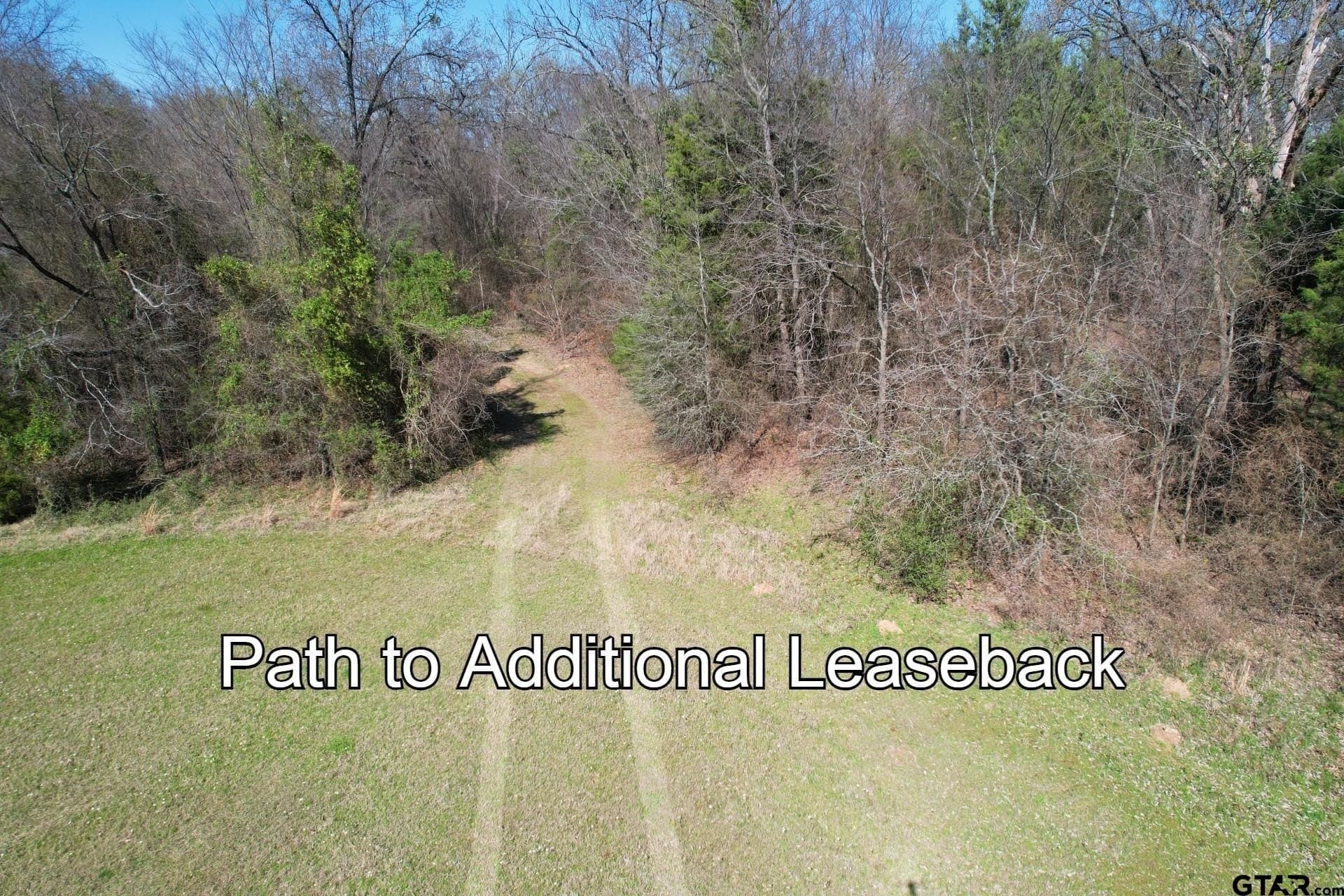 16.27 acres in Rains County - photo 26