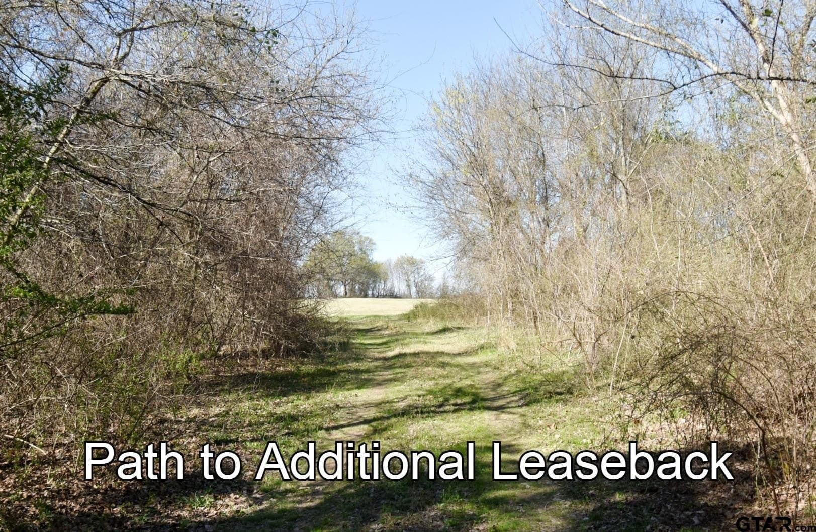 16.27 acres in Rains County - photo 27