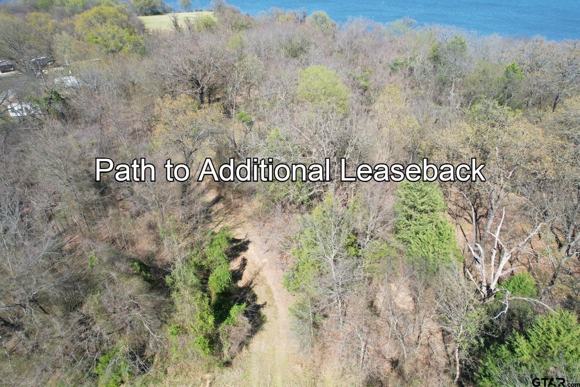 16.27 acres in Rains County - photo 28